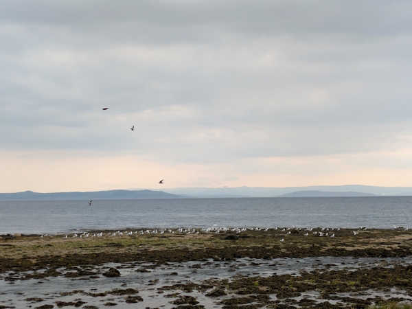 Corrie to Lochranza on the Arran Coastal Way