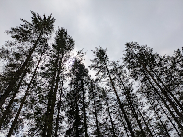 Blackwaterfoot to Lagg on the Arran Coastal Way