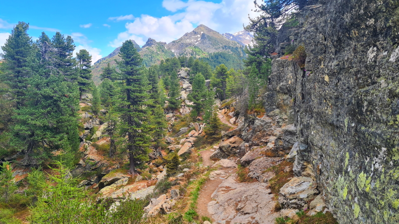 Rocky paths traverse through woodlands on the Zirbenweg, the high trail above Innsburck