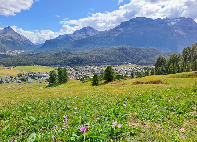 Looking out over Celerina on the last stage to St Moritz