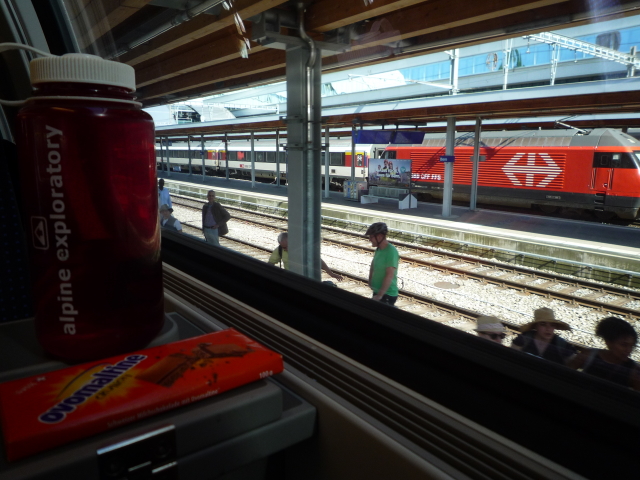 The ease of Swiss trains
