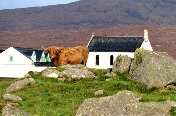 Eriskay to Dalabrog on the Hebridean Way