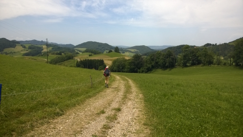 A hiker on a track on Stage 3 of the Jura Crest Trail