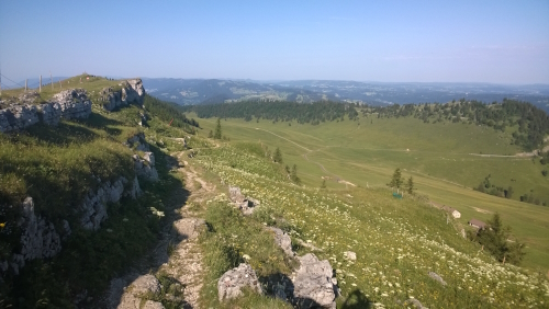 A gentle descent on Stage 8 of the Jura Crest Trail