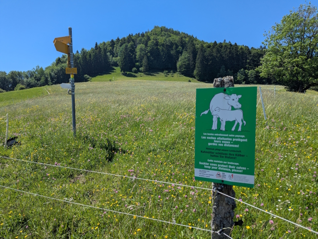Typical JCT terrain with a vaches aillatantes sign