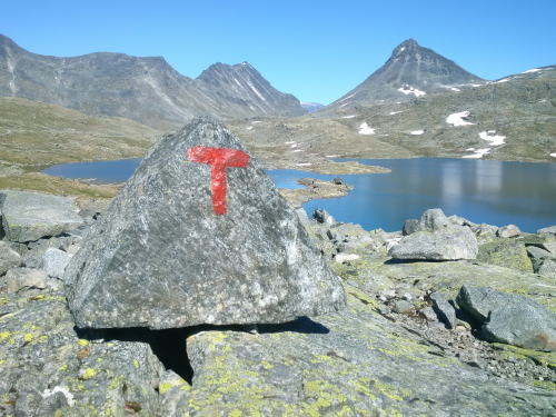 Painted T showing the route