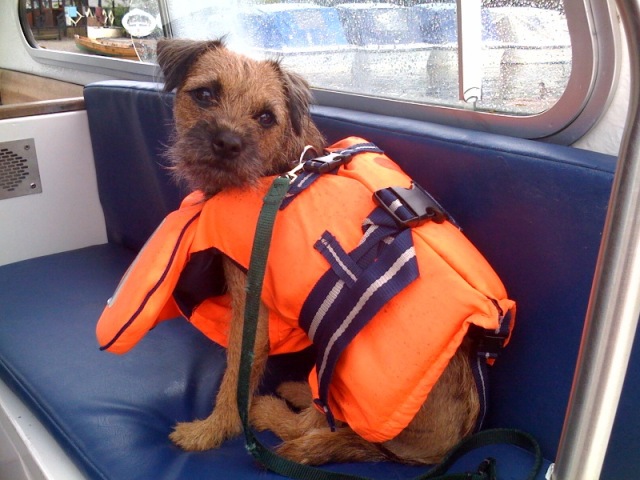 Poppy takes to Coniston Water