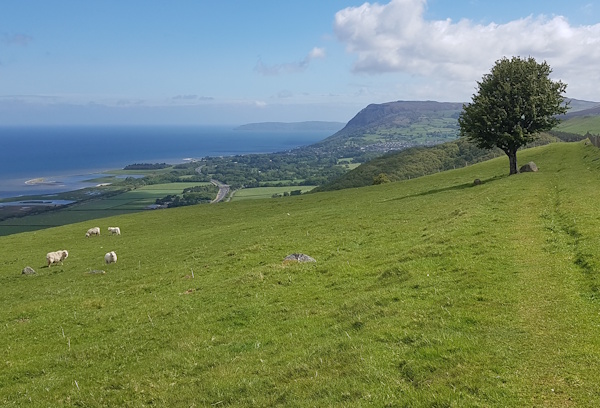 Looking towards the sea on the Snowdonia Way