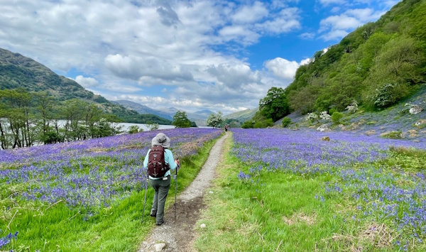 Black Mount Hills on the West Highland Way