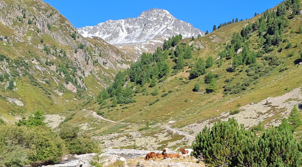 Walking in the Val Susauna, Switzerland