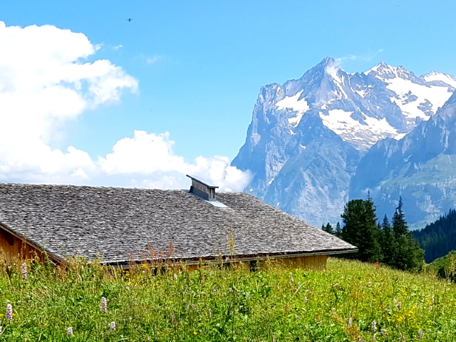 A barn and the Wetterhorn on the Via Alpina, above Grindelwald