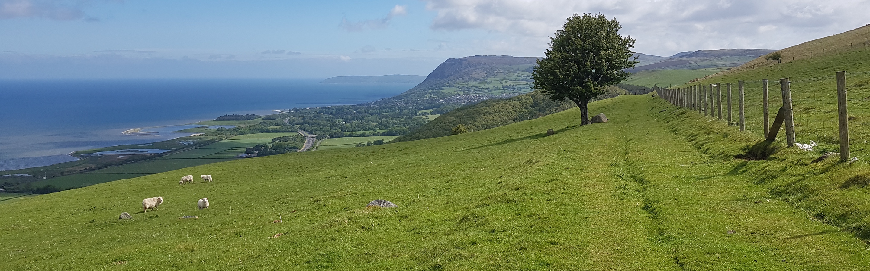 A view towards the sea on the Snowdonia Way