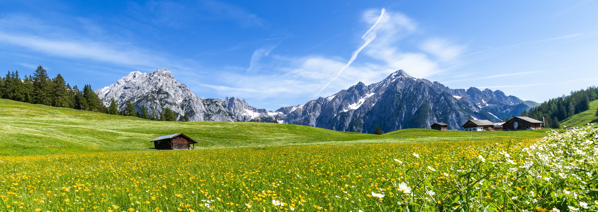 Green meadows in the Inn Valley on the Adlerweg