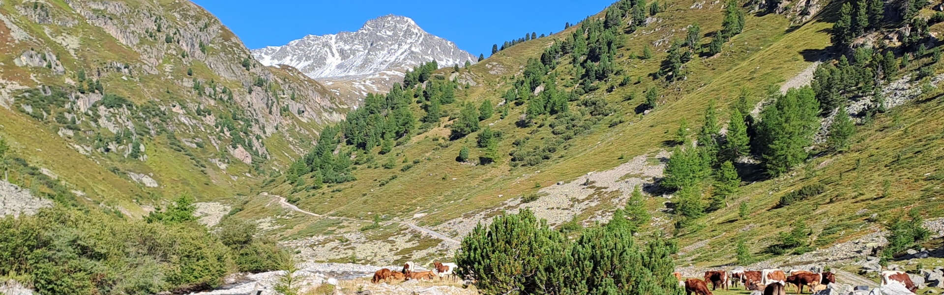 Walking down the Val Susauna, Switzerland