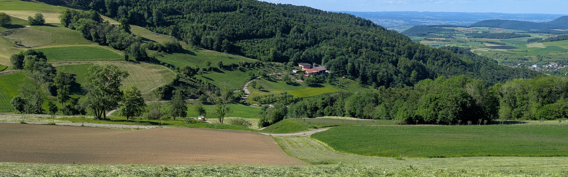 Swiss fields in the sun above Aarau on Stage 2 of the Jura Crest Trail