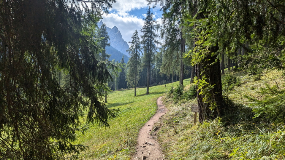 Forest paths on the final section of the Alta Via 9
