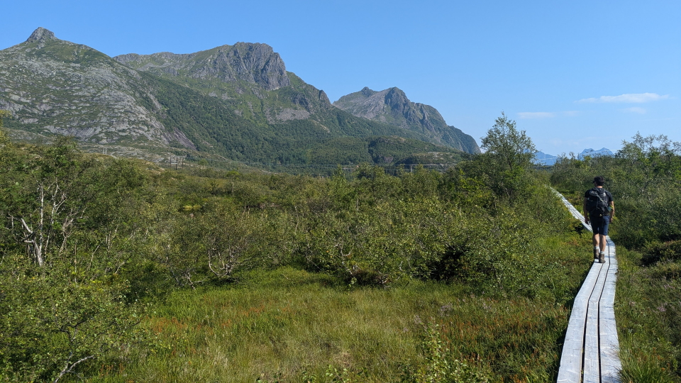 The boardwalk around the Gronnasvatnet