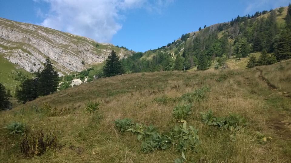 Folds of hills in the Jura