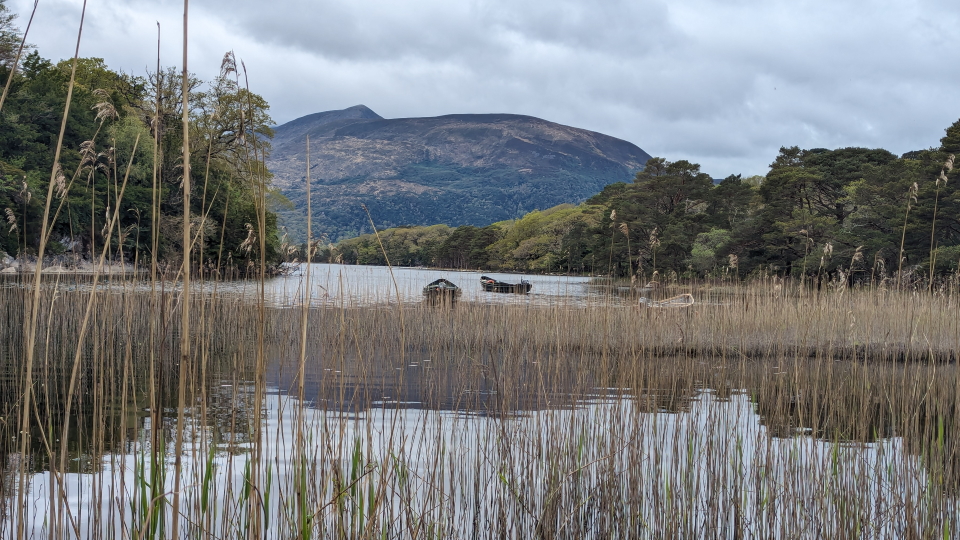 Muckross Lake near Killarney