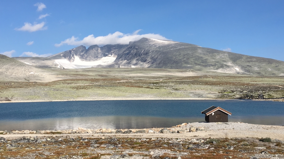 Snohetta across water in the Dovrefjell national park (2018)