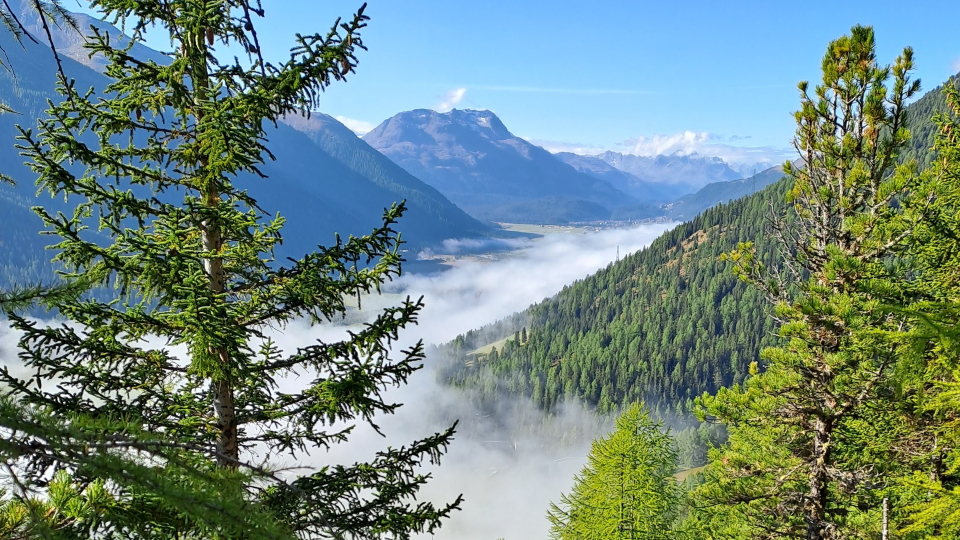 Between Zuoz and Bever on the day to St. Moritz