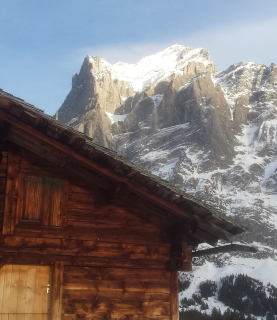 The Wetterstein from the First area above Grindelwald